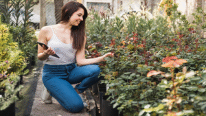 garden guide homenumental