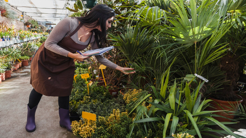 Garden Guide Homenumental: A Complete 2026 Guide to Planning and Growing a Beautiful Garden